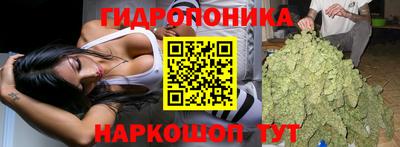apvp Чапаевск